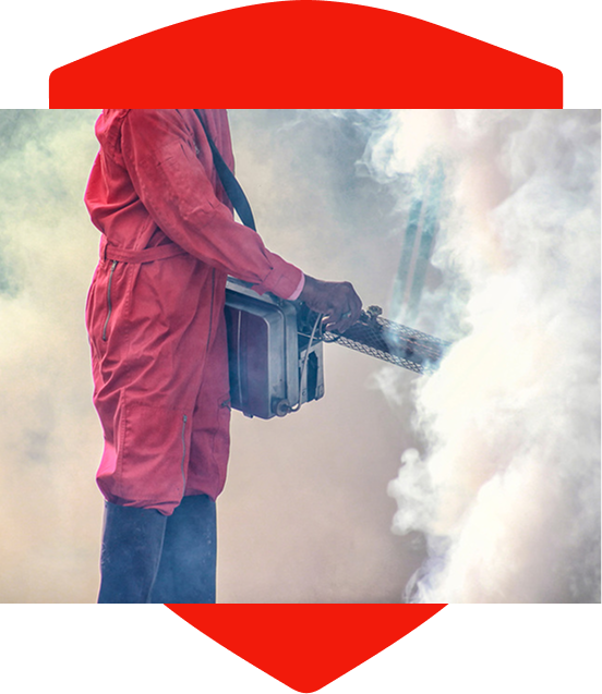 Professional pest management services
