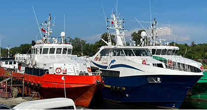 Vessel Fumigation